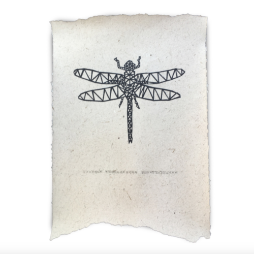 POSTER - DRAGONFLY